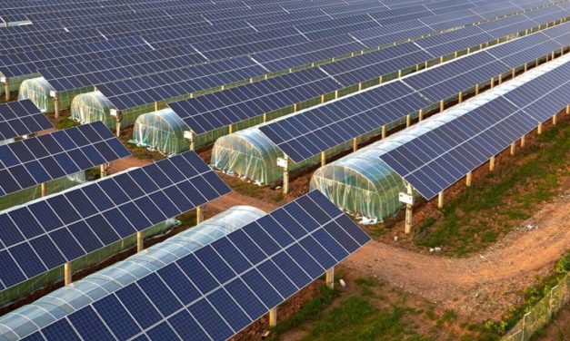 Recap Armenia 2025: Impressive solar energy target achieved 4 years early